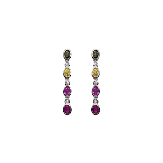 Vivid Spectrum Earrings